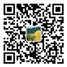乐发彩票官方网